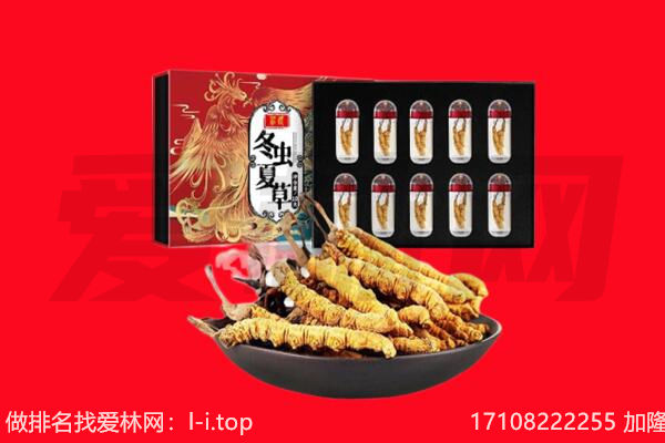 大安区回收虫草.jpg